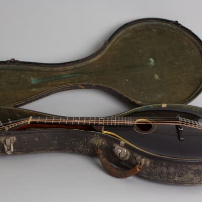 Gibson  Style A-1 Snakehead Carved Top Mandolin (1925), ser. #78901, original black hard shell case. image 10