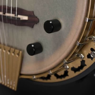 Deering Phoenix Acoustic/Electric 6-String Banjo image 8