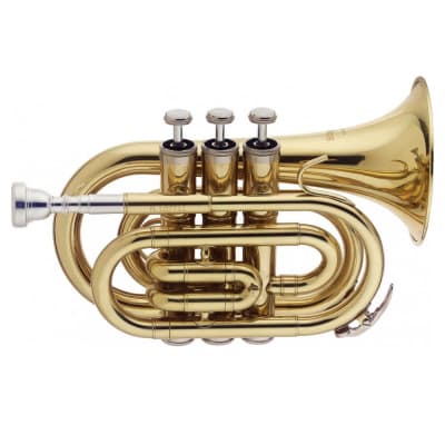 STAGG LV-TR5204 Bb trumpet, ML-bore, leadpipe in gold brass, with soft  case