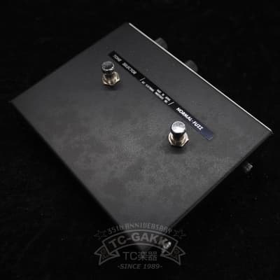 Reverb.com listing, price, conditions, and images for ace-tone-fm-2