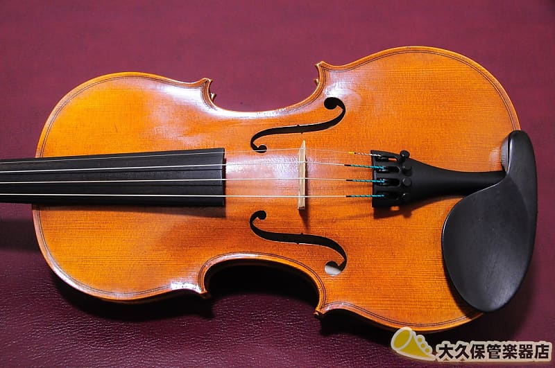 Roderich Paesold PA-802J 4/4 Violin Set | Reverb