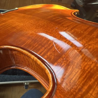 Eastman Strings Signature Series Intermediate Violin - 3/4 w/ Accessories image 7