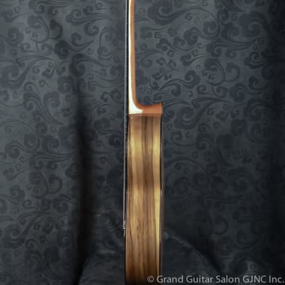 Raimundo Tatyana Ryzhkova Signature model, Spruce top classical guitar image 2
