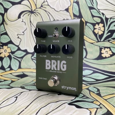 Strymon Brig dBucket Delay image 1