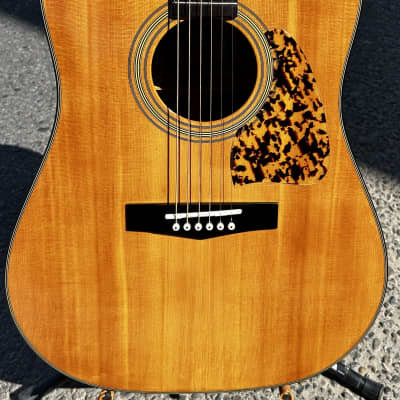 IBANEZ AW20 acoustic guitars