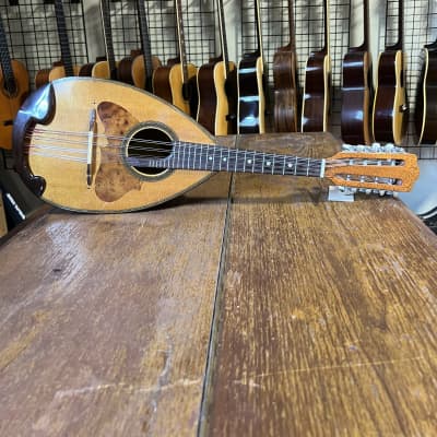 希少 SUZUKI MF-130 フラットマンドリン ヴィンテージ（Mandolin