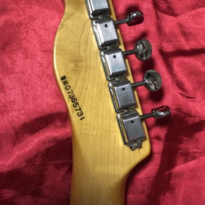 Grass Roots by ESP G-TE-50 Telecaster Type 2007 Electric Guitar