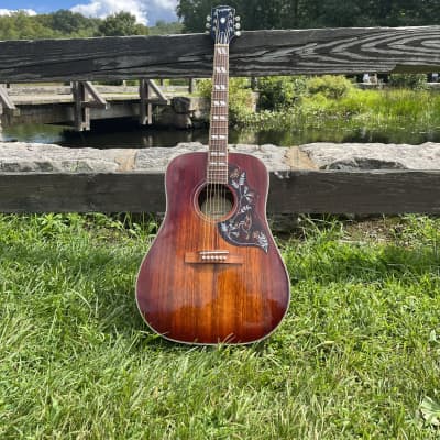 ギター yukkyEpiphone Hummingbird Koa Special 2022 Epiphone Limited Edition Hummingbird Koa Special- Gloss