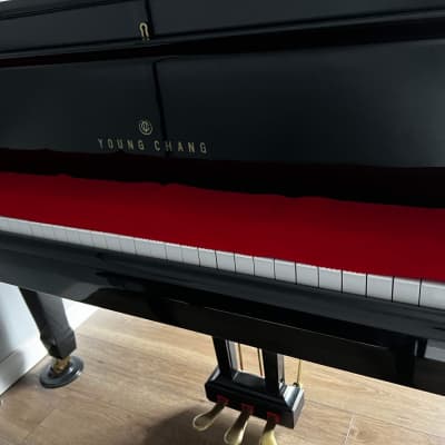 Young Chang G-157 5'2 Ebony Polish Grand Piano image 3