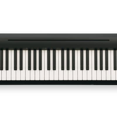 Roland FP-10 Full Size 88 Key Digital Piano, Black