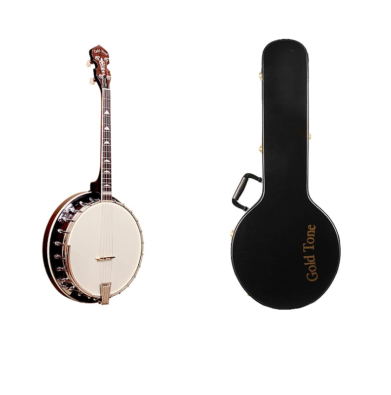 Gold Tone IT-250R/L Professional 4-String Irish Tenor Banjo w/Hardshell Case & Resonator For Lefty image 1