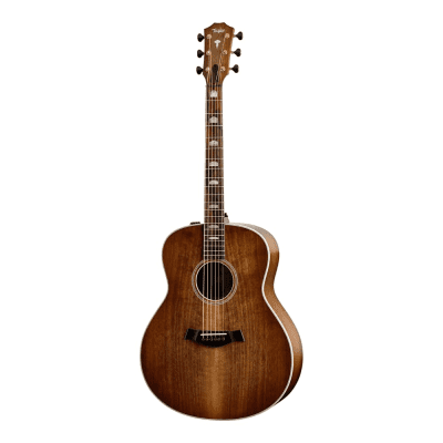 taylor Taylor T5z Pro Hollowbody, Harbor Blue – Gladesville Guitar