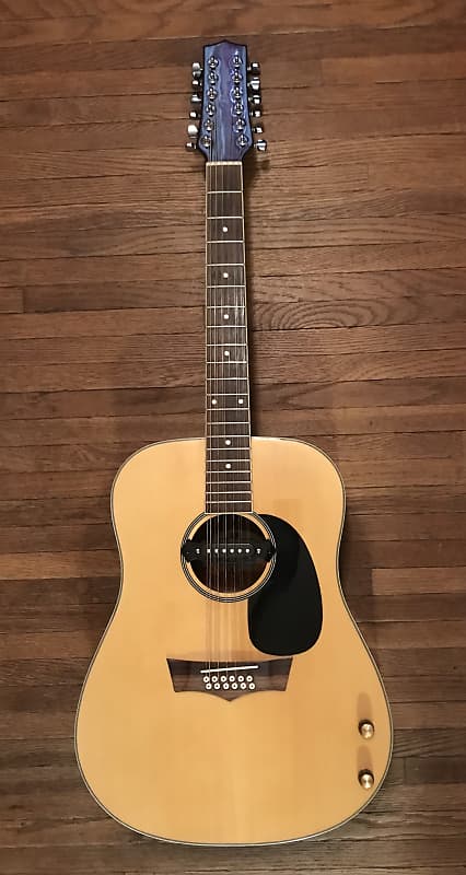 Briarwood by Peavey YDR 112 Twelve String Acoustic with On board