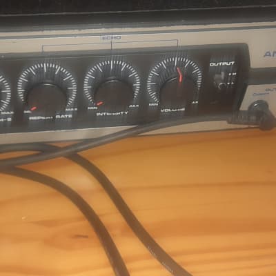 Evans Echopet EP-250 BBD Analog Delay, Spring reverb | Reverb UK