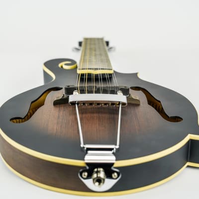 Gold Tone I-F12 Gold Tone F-Style 12-String Mando-Guitar w/ Foam Case image 22