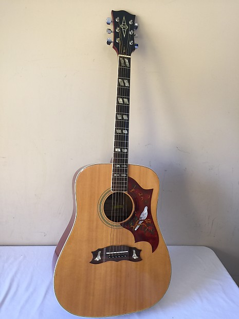 Alvarez 5024 dove acoustic guitar new arrivals