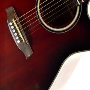 Ibanez ae18 sales