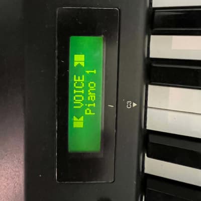 Yamaha  P-150 Digital Piano image 6
