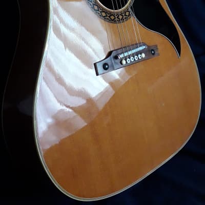 Eko J.54 (当時物) Pristine Condition c1966 Eko J-54 Acoustic Guitar & Original