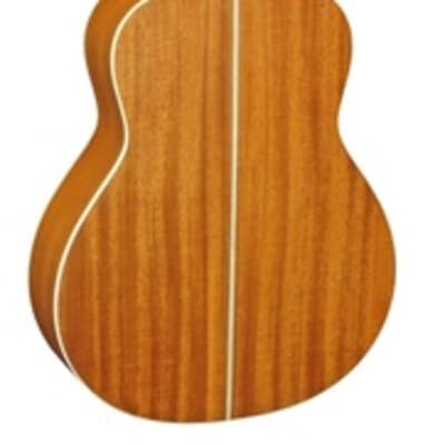 Alba By Corbin ASDG315 Mini-Style Acoustic Guitar image 2