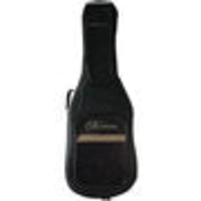 Norman Deluxe Acoustic Guitar Gig Bag for sale