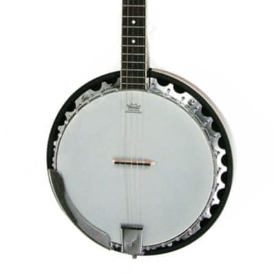Ozark 2104G 5 String Banjo inc Gig Bag for sale