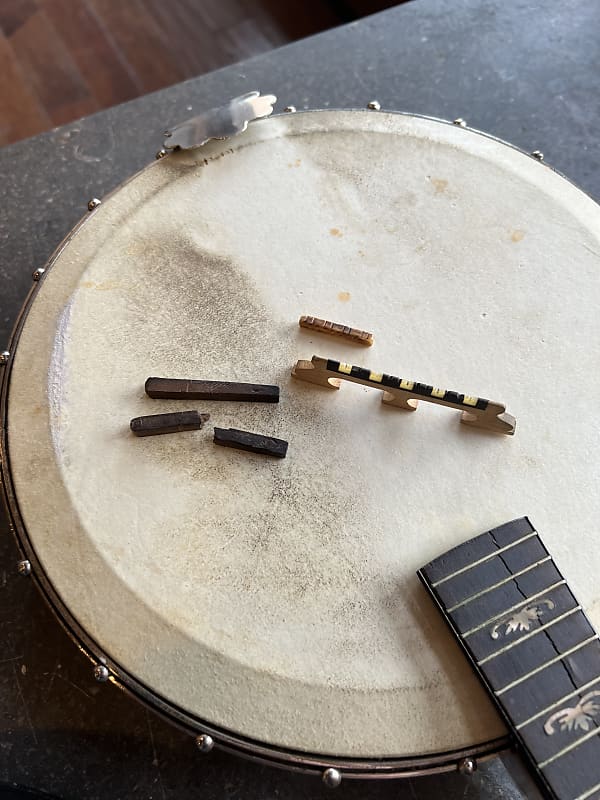 Orpheum No. 1 Mandolin Banjo Project with Original Hard Case | Reverb