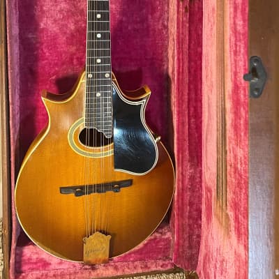 Gibson A5 Two Point Mandolin 1959 - Sunburst image 7