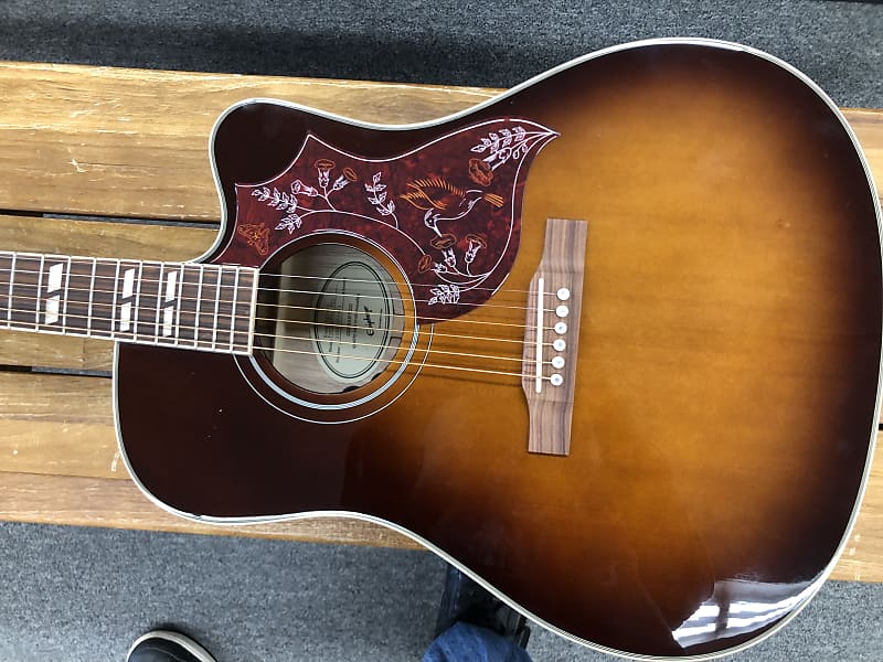The Epiphone Limited Edition Hummingbird Performer PRO