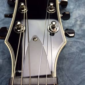 正規代理店 Guitar, Electric EC-330FM LTD ESP 6 Aqua Right-Handed String ギター