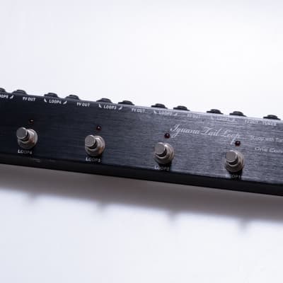 One Control Iguana Tail 2 5 Loop Switcher - Willcutt Guitars