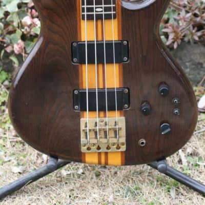 Aria pro II SB-ELT/ SB-800 1988~1990 clear | Reverb Aria pro II SB-ELT/ SB-800 1988~1990 clear | Reverb