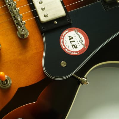 Seventy Seven Guitars EXRUBATO-STD-JT - SB[BG] image 6