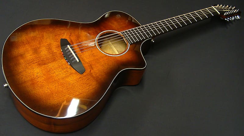 Breedlove pursuit store ex concert