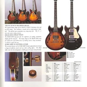 1983 Ibanez AM-100 Semi Hollow Body - rare guitar image 11
