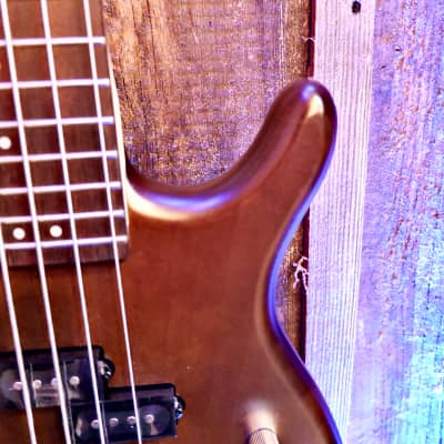 Cort Action PJ OPW 4-String Bass Open Pore Walnut image 13