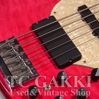 GrassRoots G T 80BD | Reverb