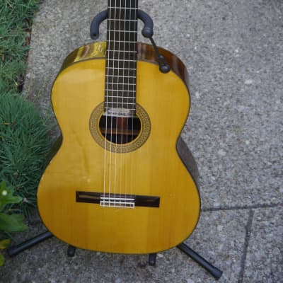 ASTURIAS（アストリアス）JM-15S ASTURIAS/JM-15 John Mills Model ￥SOLD | アコースティック