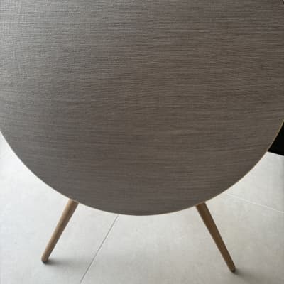 Bang & Olufsen Beosound A9 5th Gen Natural Aluminium image 5