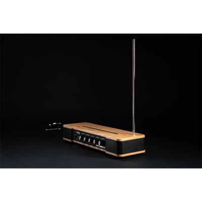 moog [GW Gold Rush Sale] Etherwave Theremin (MG EW THEREMIN) + Stand Set image 4