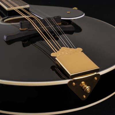 Washburn M1SDLB Bluegrass Series A-Style Mandolin. New with Full Warranty! image 4