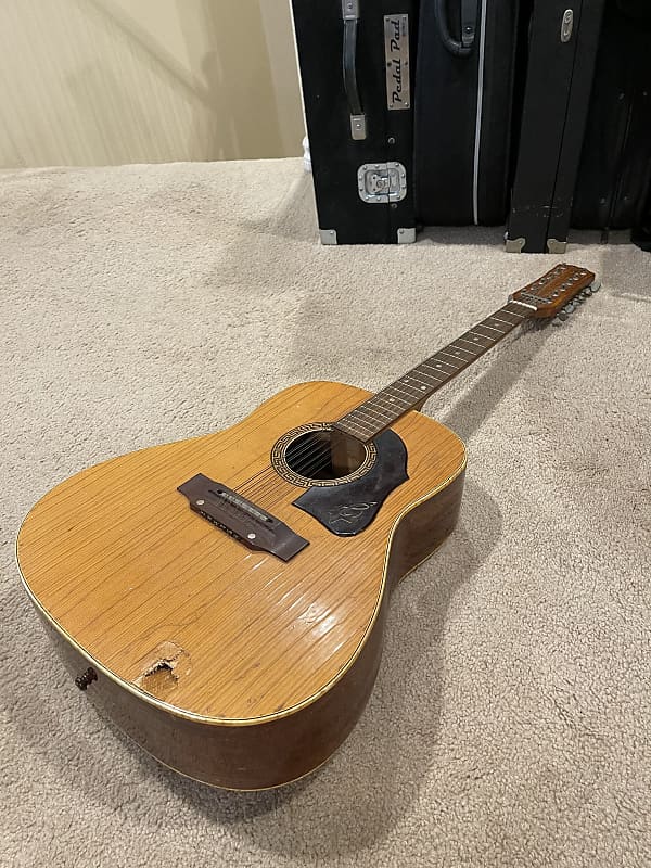 YEAR START SALE// SUPER RARE 1960’s Hoyer 12-String Acoustic Made In Germany image 1