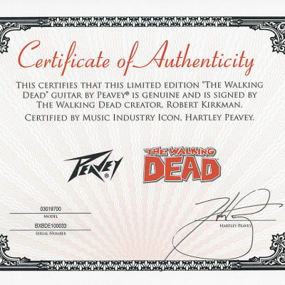Peavey The Walking Dead - Grave Digger Rick Electric Guitar Signed by Robert Kirkman with Certificate of Authenticity (Serial  BXBDE100033) image 4
