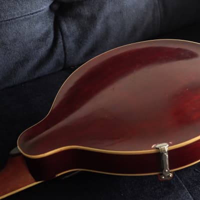 Gibson 1913 A3 Mandolin image 7