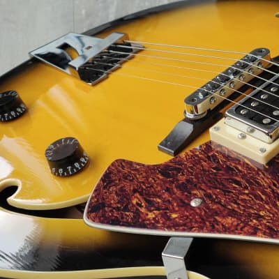 2013 Italia Torino Semi Hollowbody Electric Guitar (Sunburst) image 7