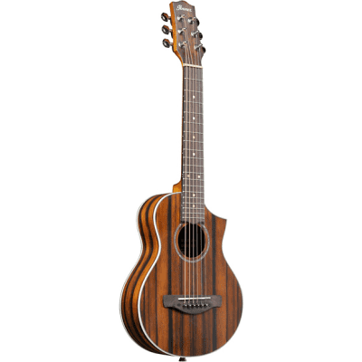 Ibanez EWP Acoustic Guitars | EWP12EWB - Piccolo Guitar - Open