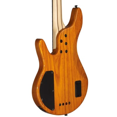 Michael Kelly Pinnacle 4 Bass Guitar(New) image 2