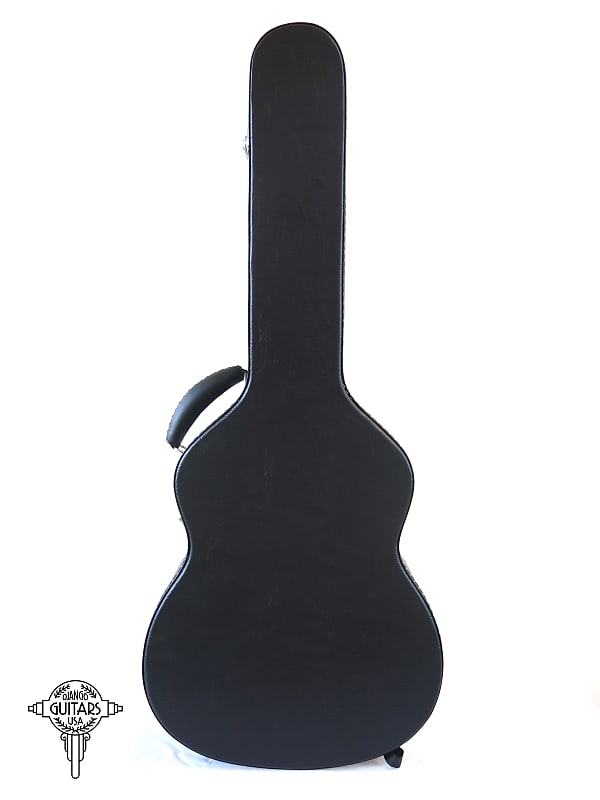 Jazz on sale guitar case