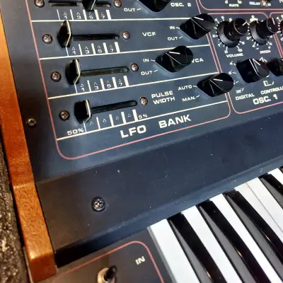 Vintage Crumar Ds-1 Rare Analog Synthesizer Synth image 5