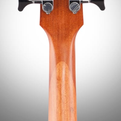Ibanez PNB14E Performance Parlor Acoustic-Electric Bass Guitar, Open Pore Natural image 7